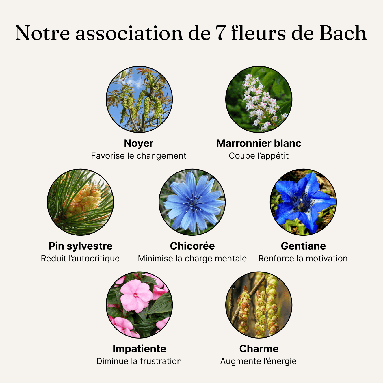 Perte de poids durable - Fleurs de Bach